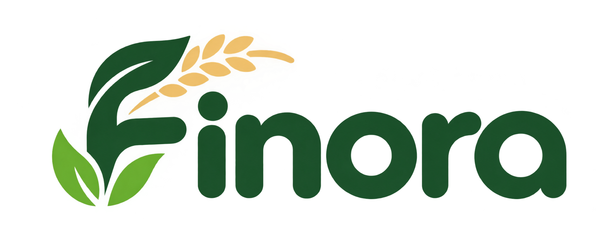 ফিনোরা লিমিটেড
